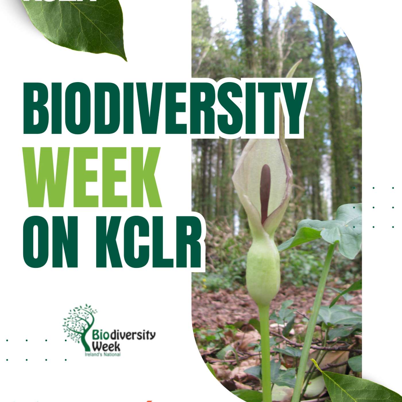 Biodiversity Week podcast artwork