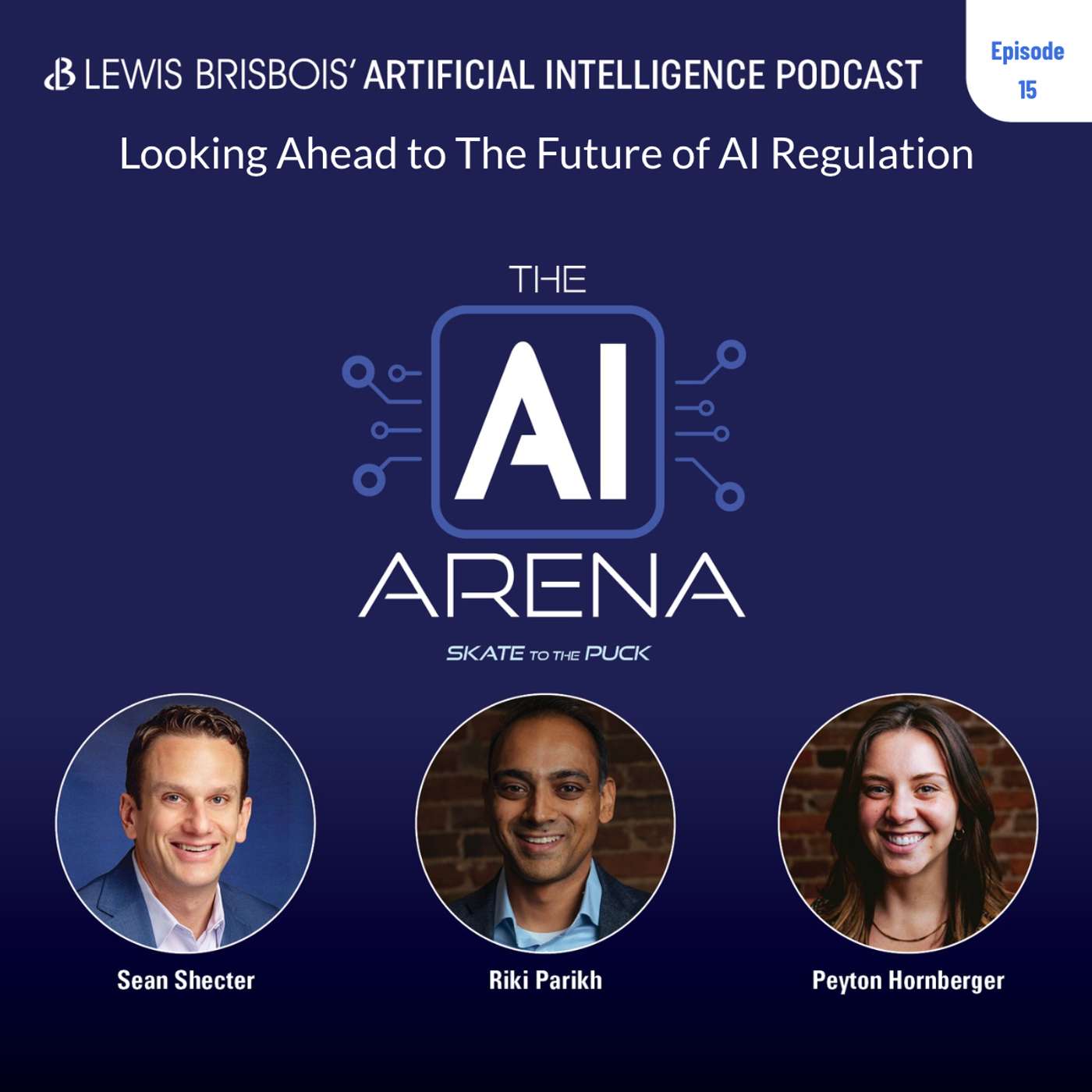 Looking Ahead to The Future of AI Regulation