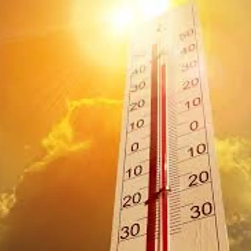 #305: Get On Your Bi Quest, King!