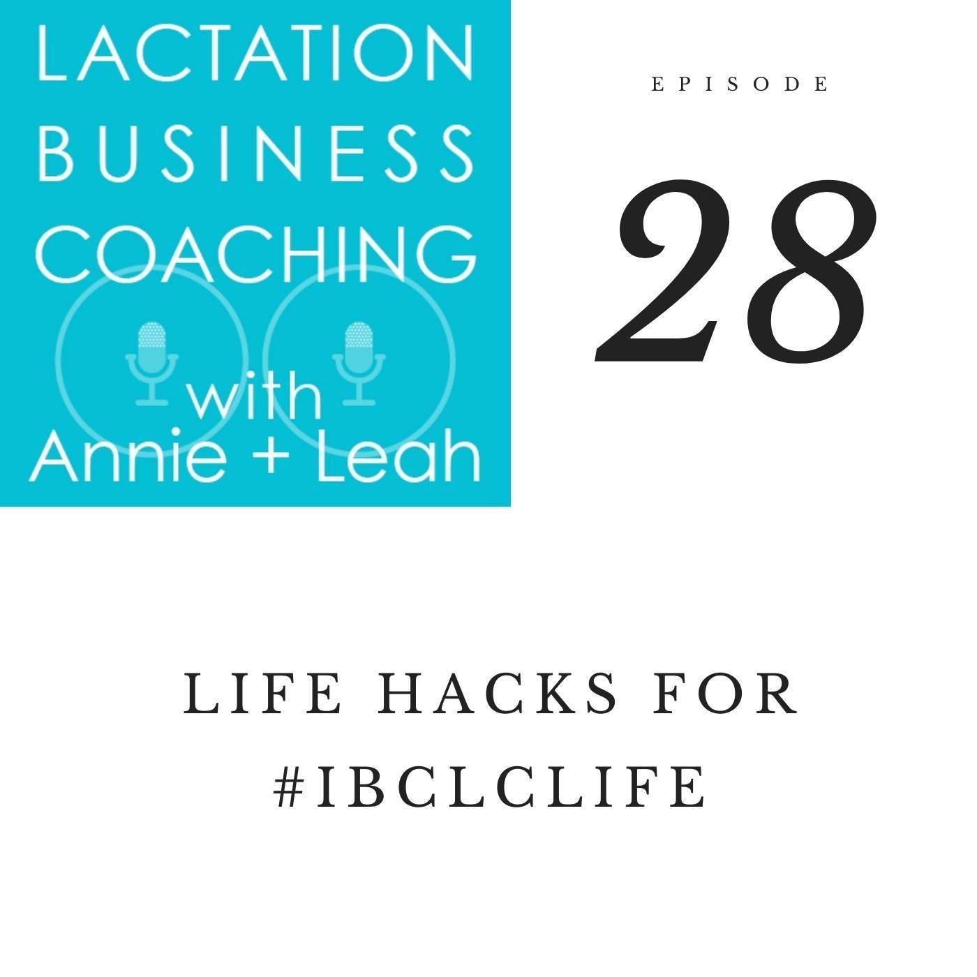 Lactation Business Coaching with Annie and Leah