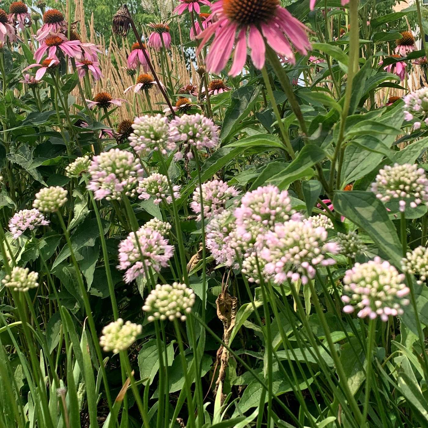 MN90: Minnesota History in 90 Seconds