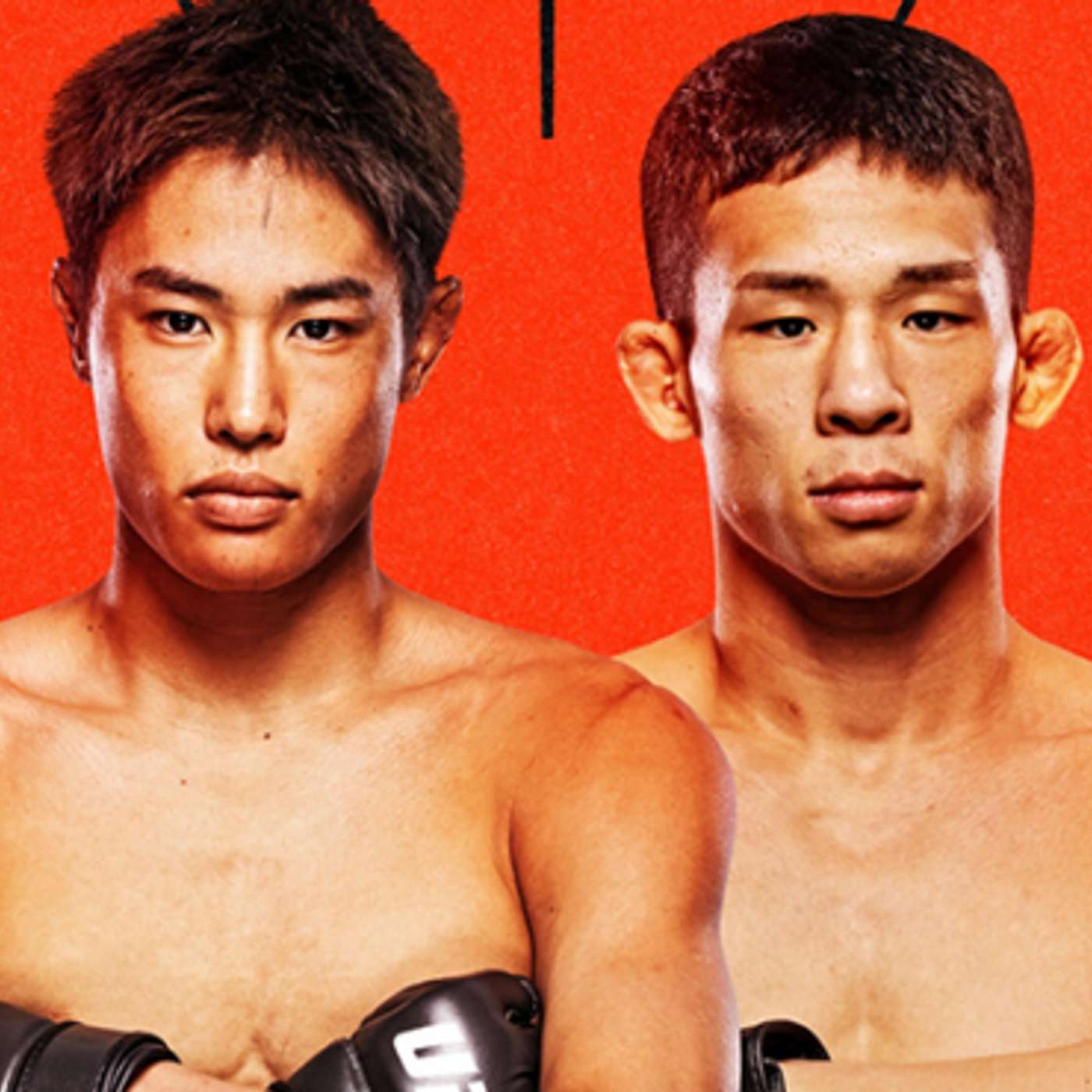 UFC on ESPN 72 Preview