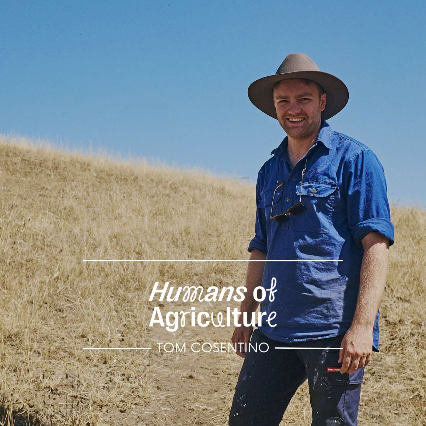 Learning from YouTube and the upsides of first-gen farming, with Tom Cosentino