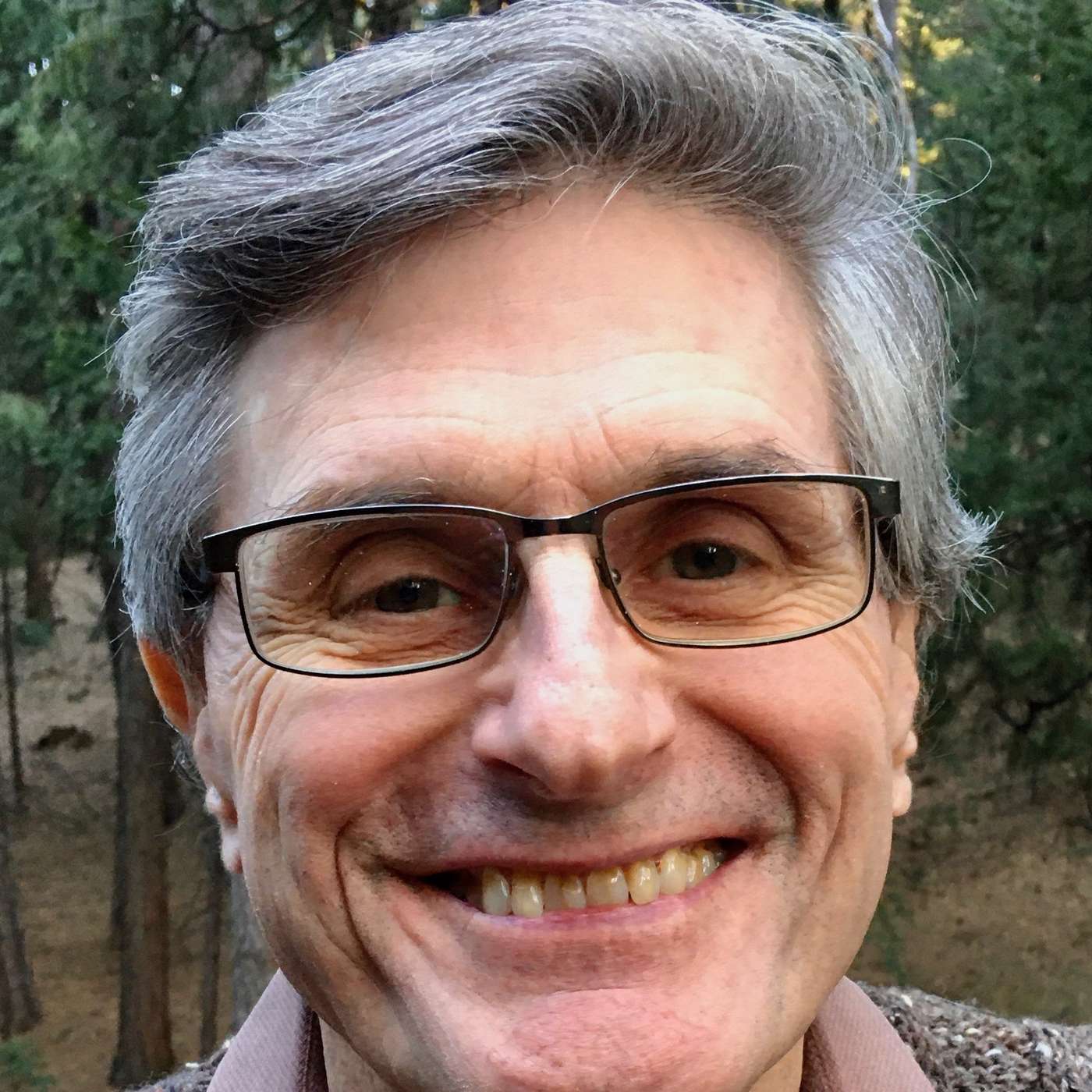 Michael Leydon, Friends of the Library episode artwork