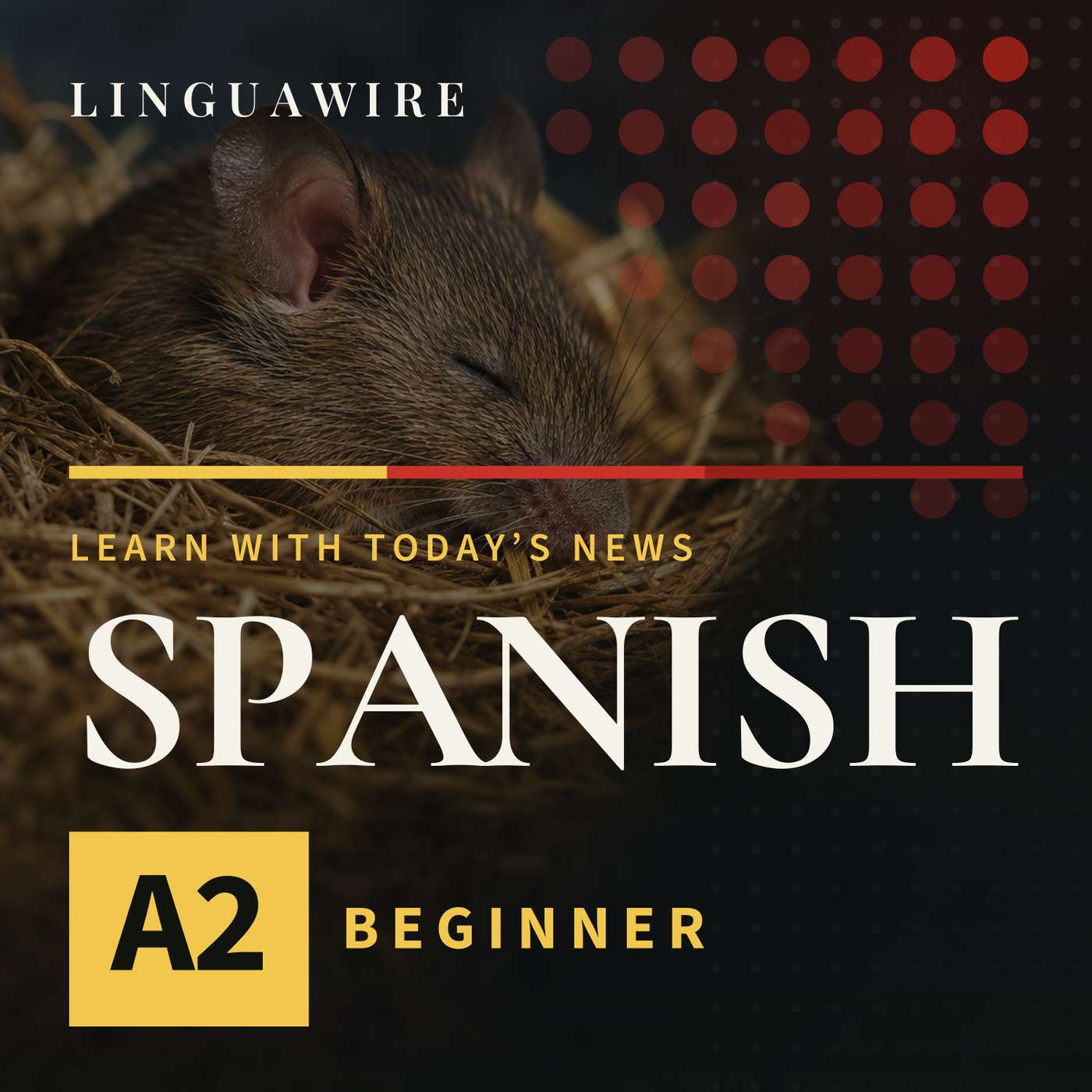 A2 Spanish News | Mice Lose Synapses but Keep Their Memories