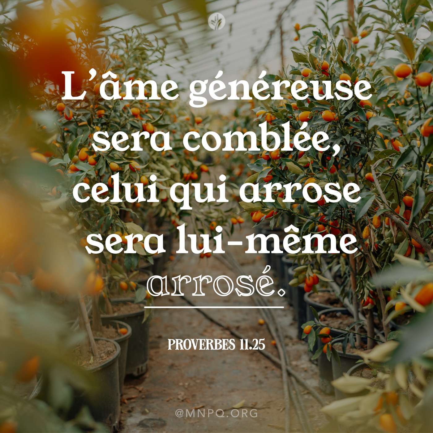 Une générosité renouvelée