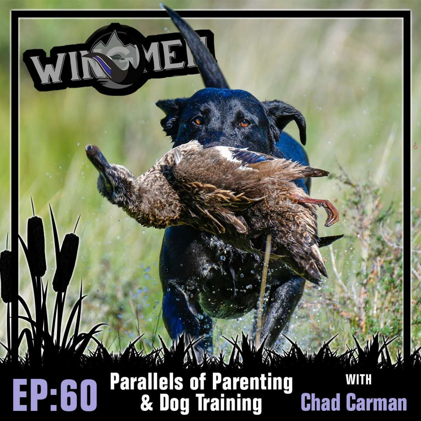 Wingmen Podcast EP 60: Chad Carman 2.0 - The Parallels of Parenting and Dog Training episode artwork