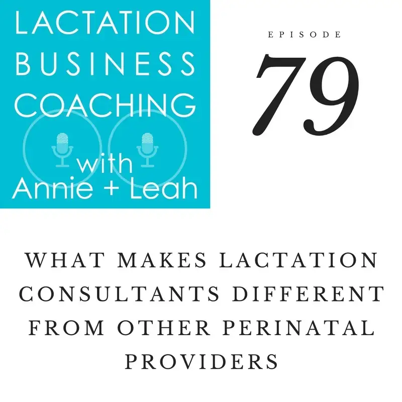 79 | What makes Lactation Consultants Different from Other Perinatal Providers