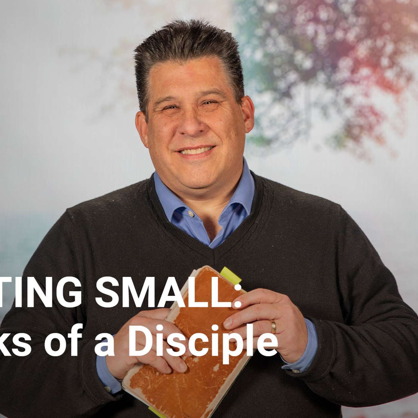 STARTING SMALL: 4 Marks of a Disciple episode artwork