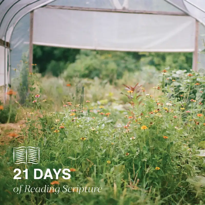 21 Days of Reading Scripture: Day Four | Colossians 1:18-20