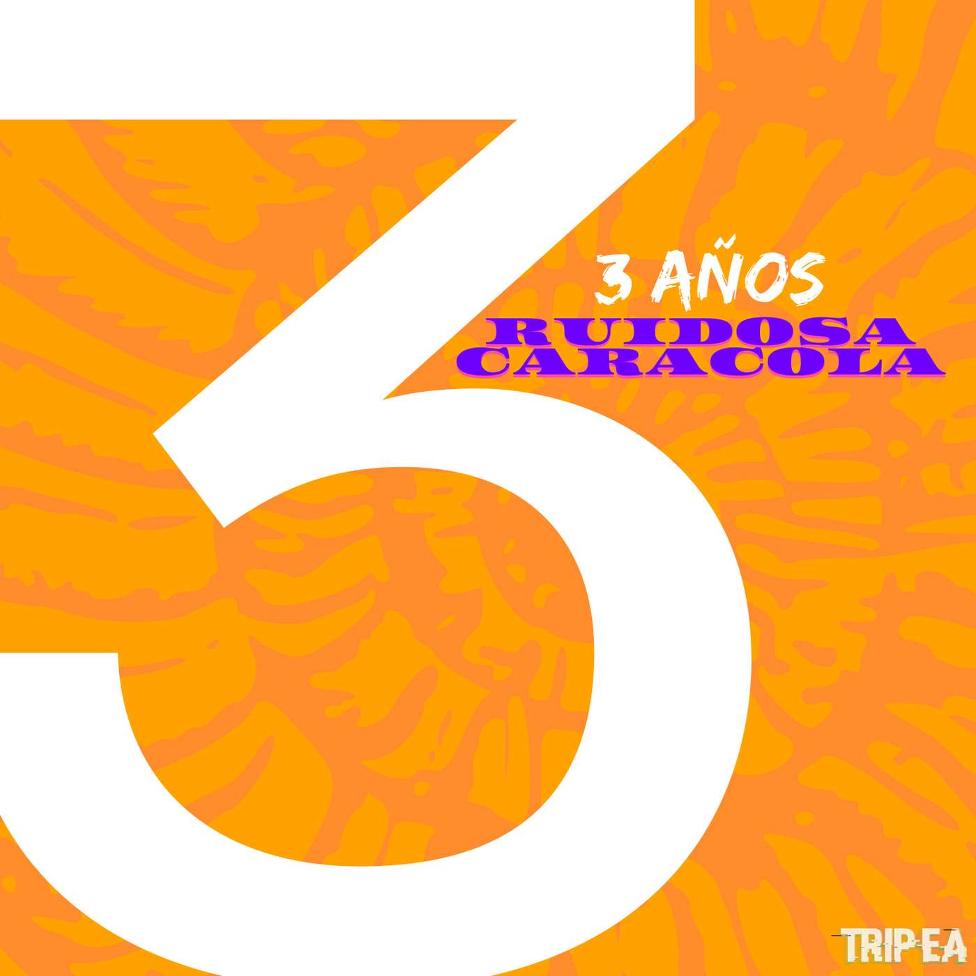 3 años de Ruidosa Caracola: ¿Deberíamos seguir existiendo? 3 años de Ruidosa Caracola: ¿Deberíamos seguir existiendo?