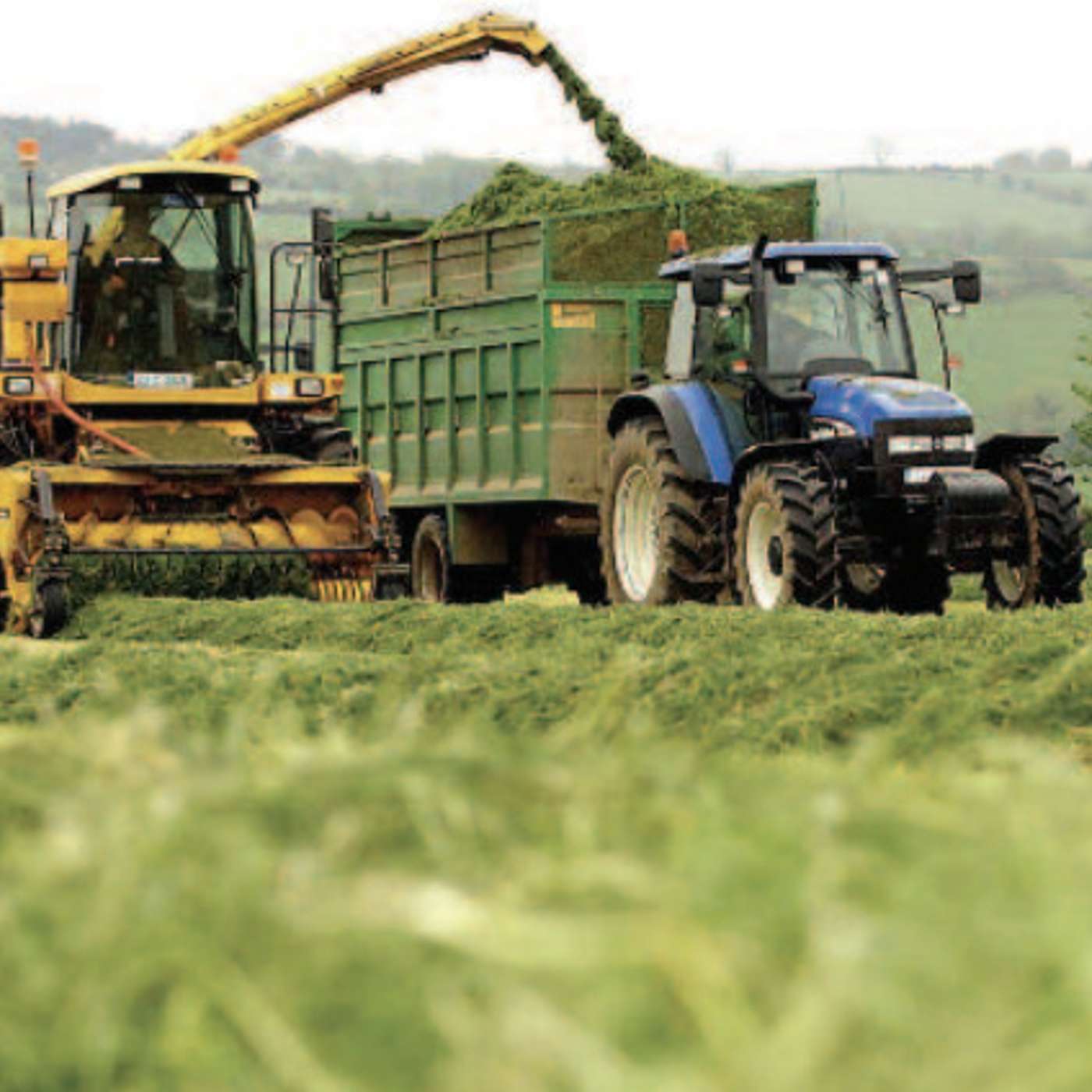 Quantifying the impact of recent growth rates on 1st cut silage crops