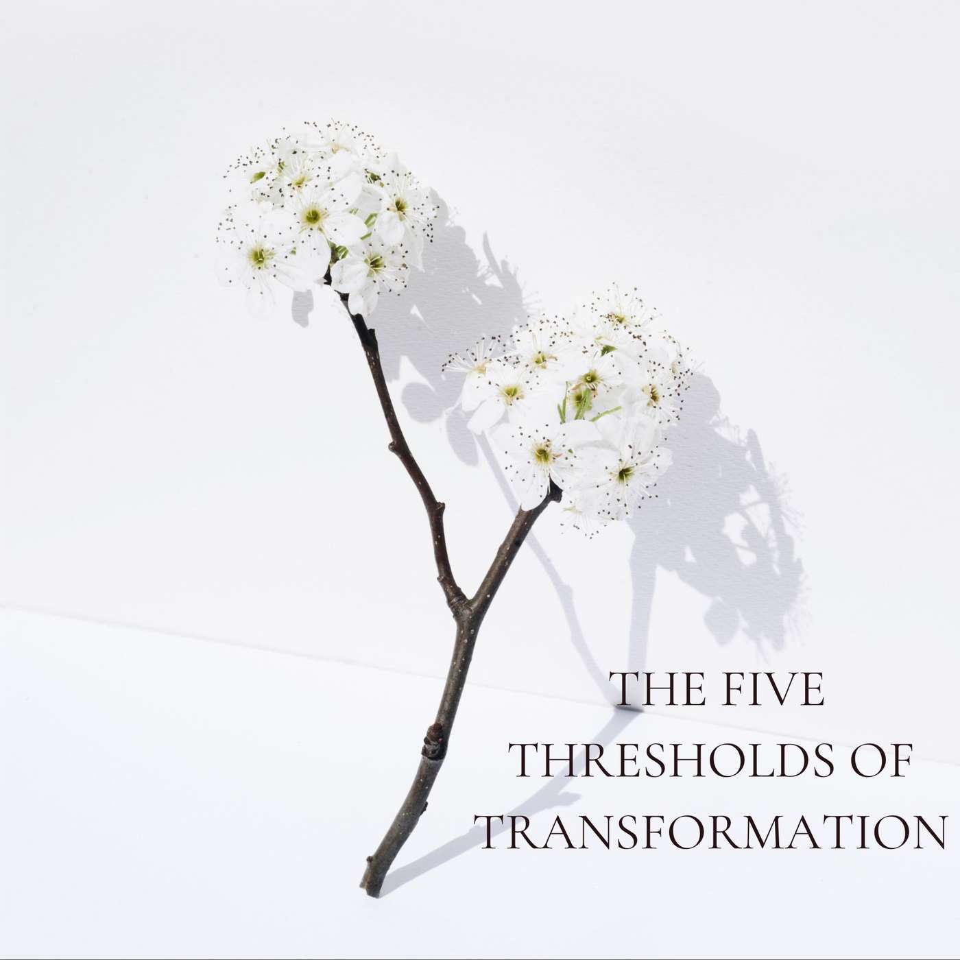 38. The Five Thresholds of Transformation episode artwork