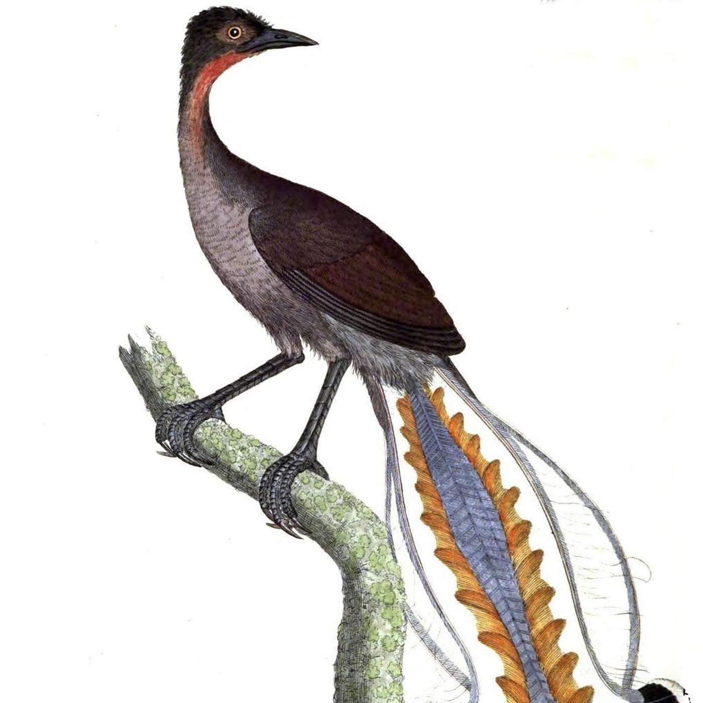 Nature and Science 4 Kids