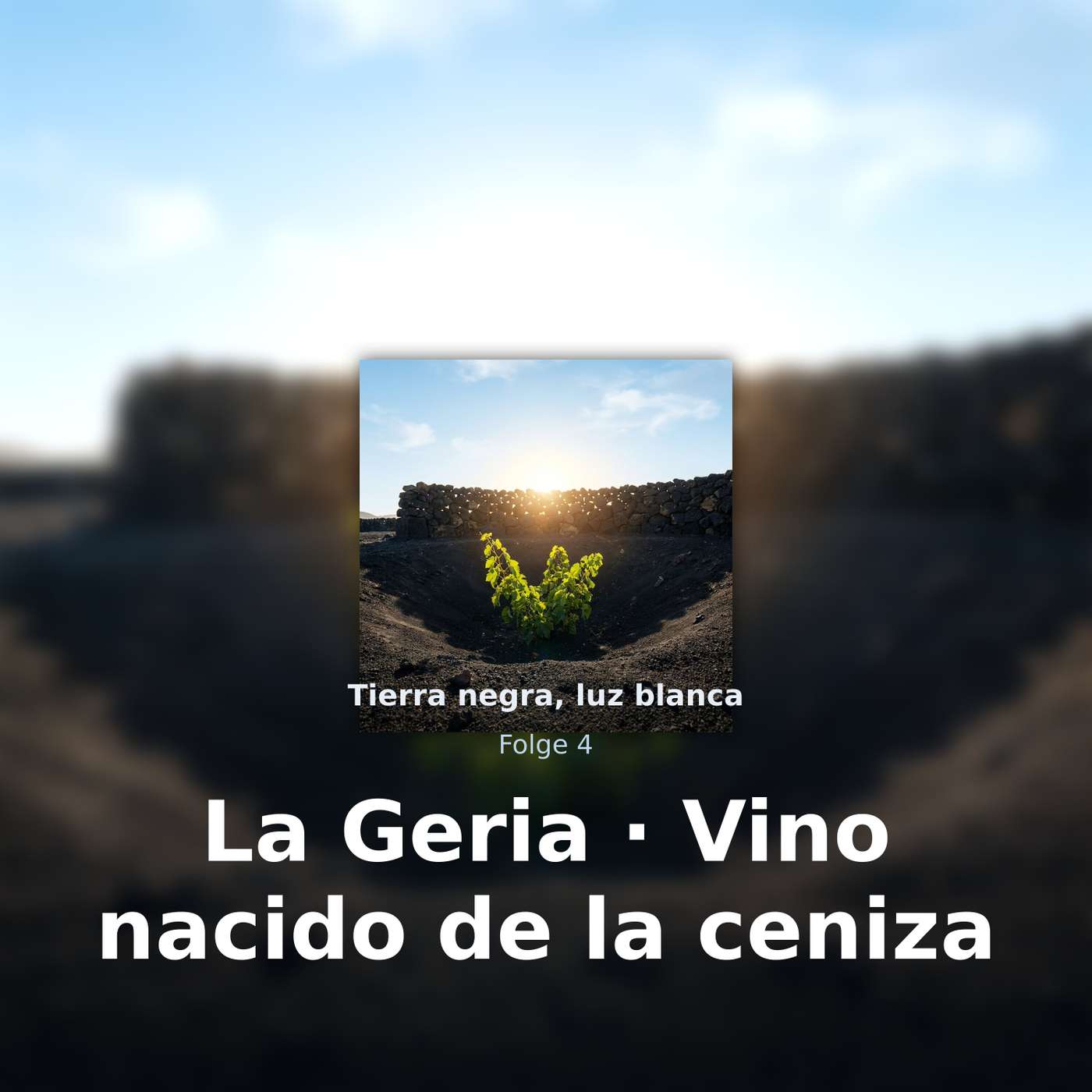 Tierra negra, luz blanca
