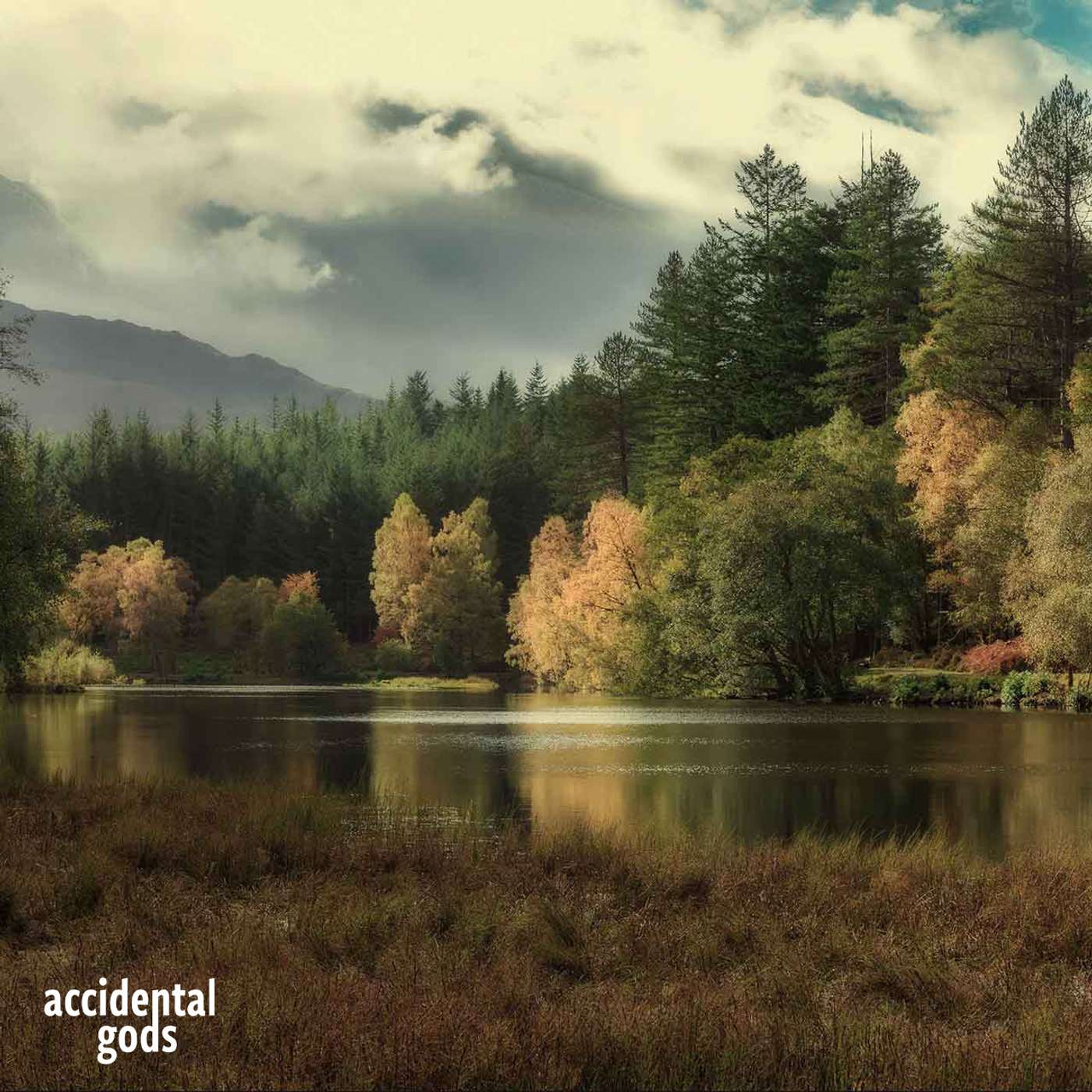 ReWilding the Forests of Life: Alan Watson Featherstone, Trees for Life and moving forward