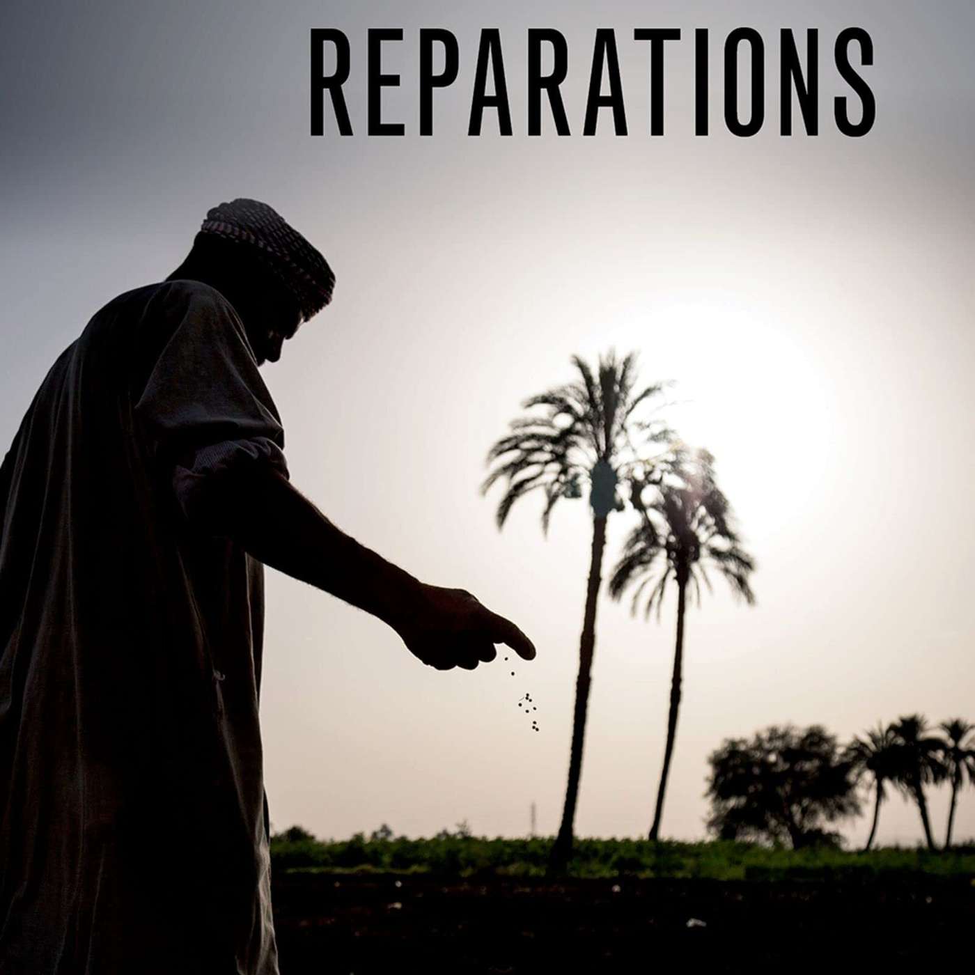 Olúfẹmi O. Táíwò on Reconsidering Reparations