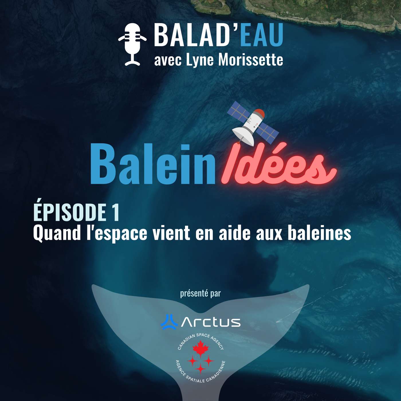 Vignette de l’épisode BaleinIDÉES: quand l'espace vient en aide aux baleines