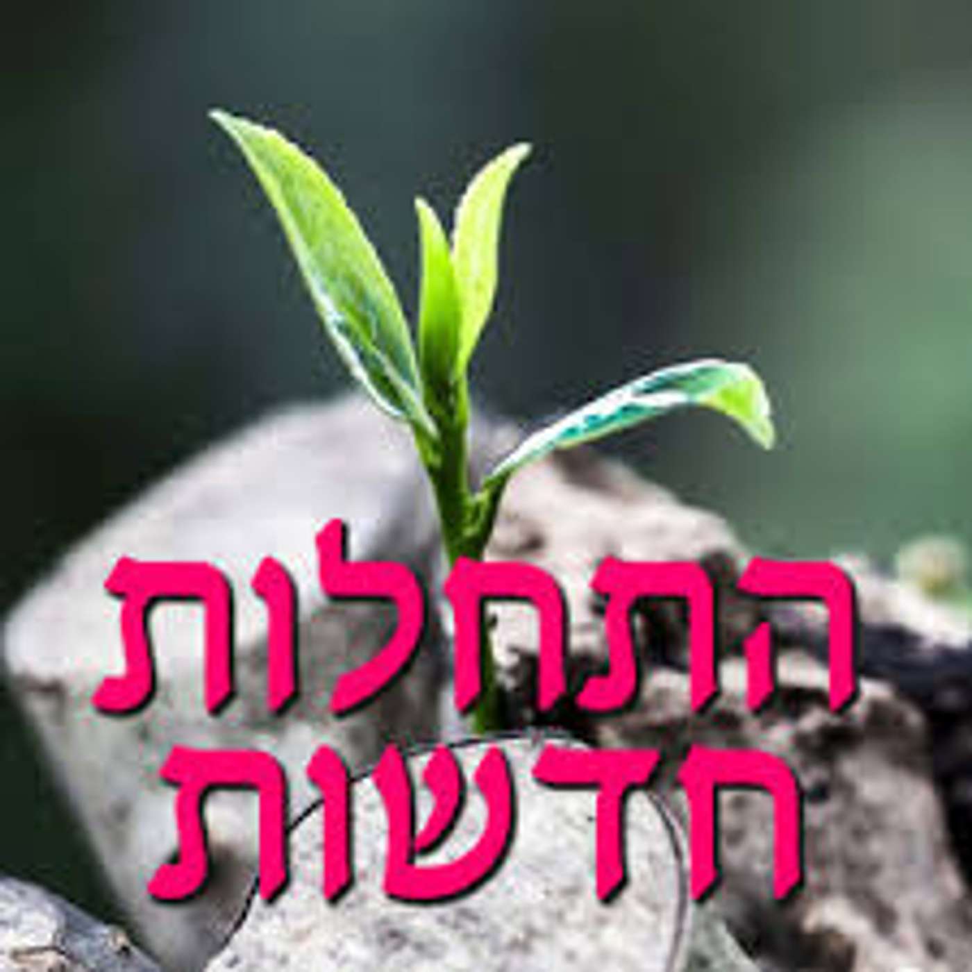 התחלות חדשות - כיתה ה3