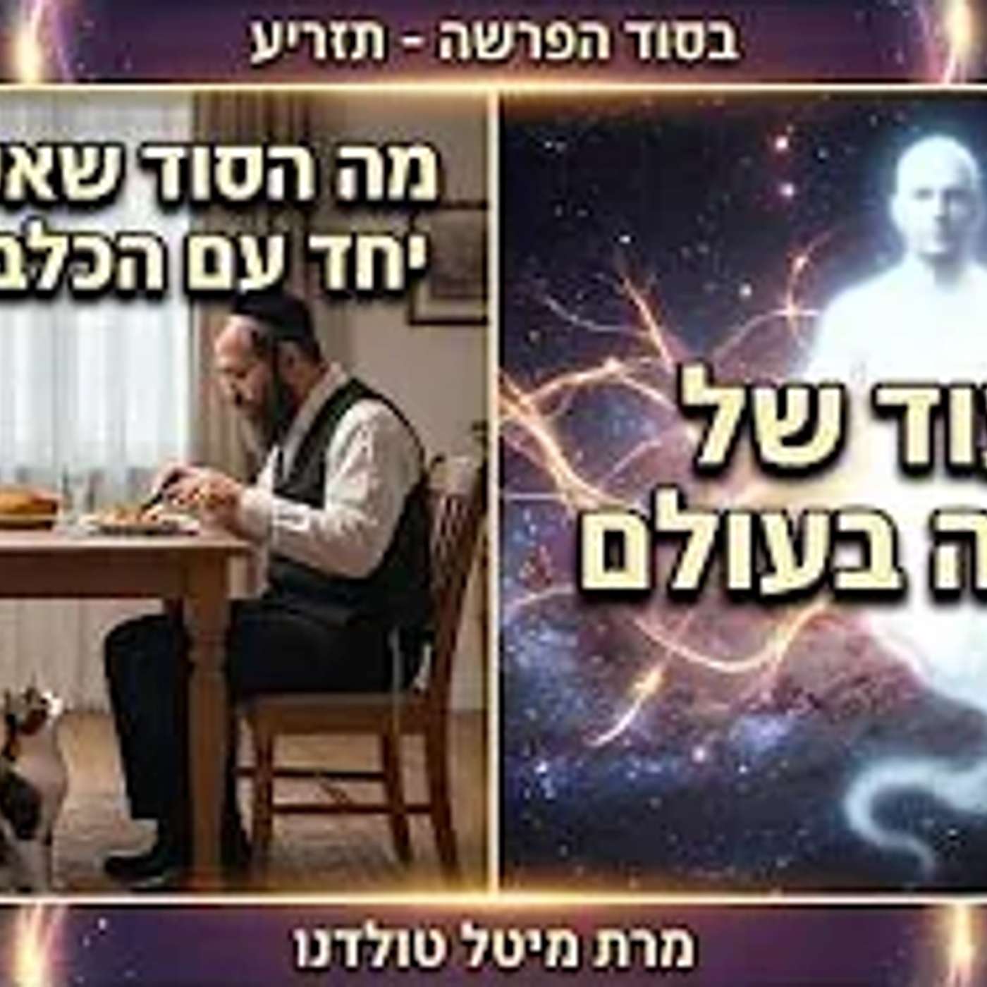 הייעוד של הנשמה בעולם ולמה אסור לאכול יחד עם כלב וחתול? ✨ בסוד הפרשה - תזריע תשפ״ו ✨ מרת מיטל טולדנו