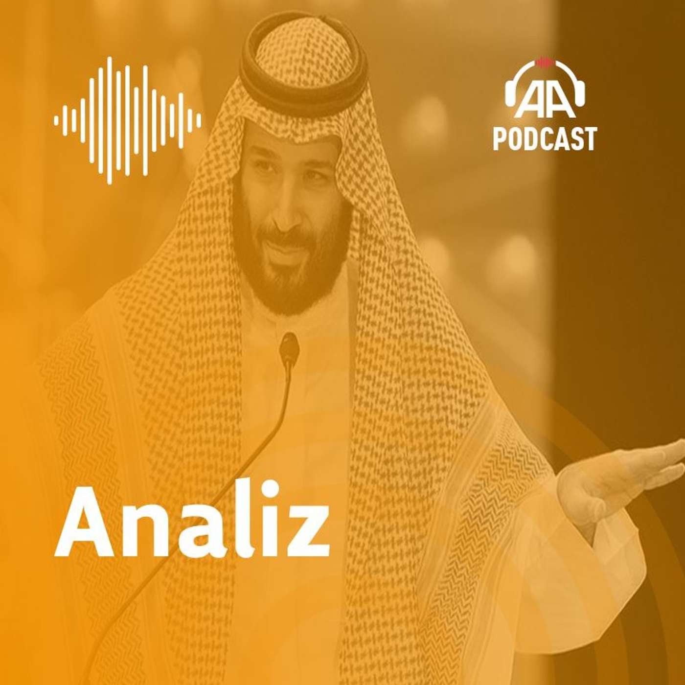 Analiz ve görüşler