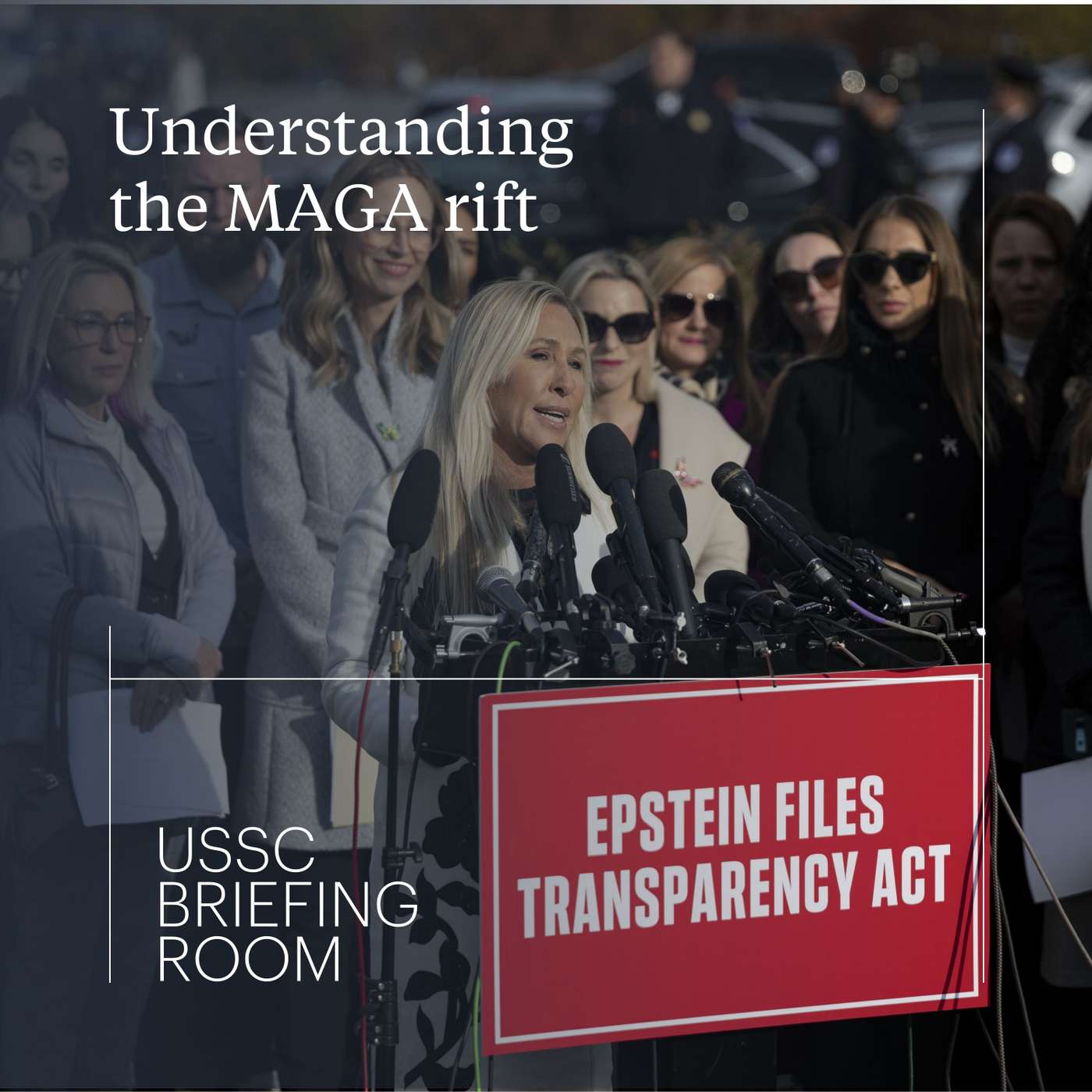 Understanding the MAGA rift