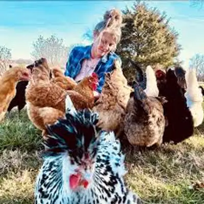 Tracy Reed, Tracy's Hen House