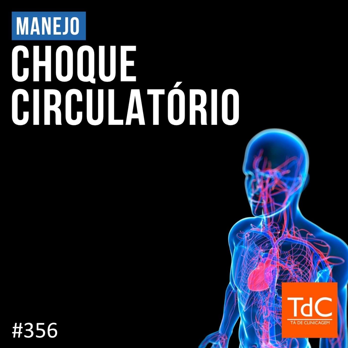 TdC 356: Manejo de Choque Circulatório