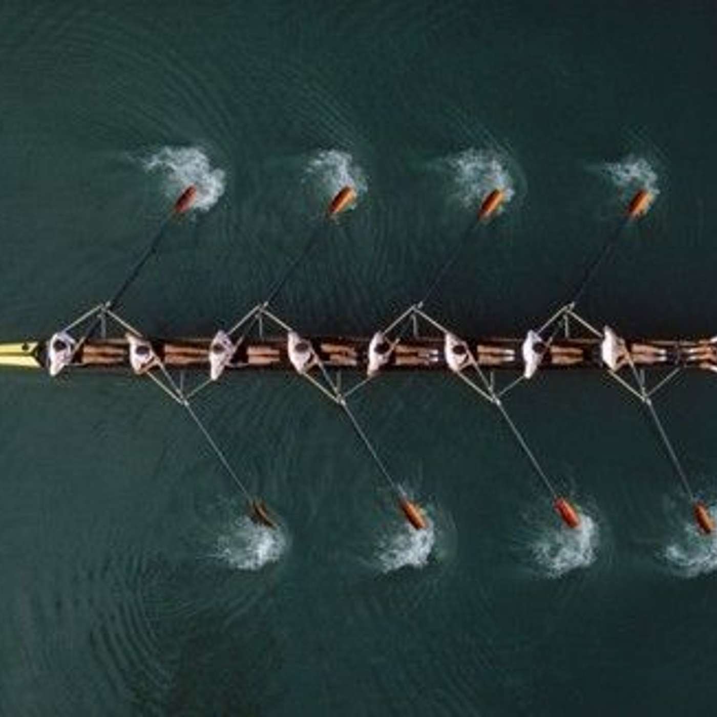 LNAH/ The Harvard Boat to Mexico/Tease episode artwork