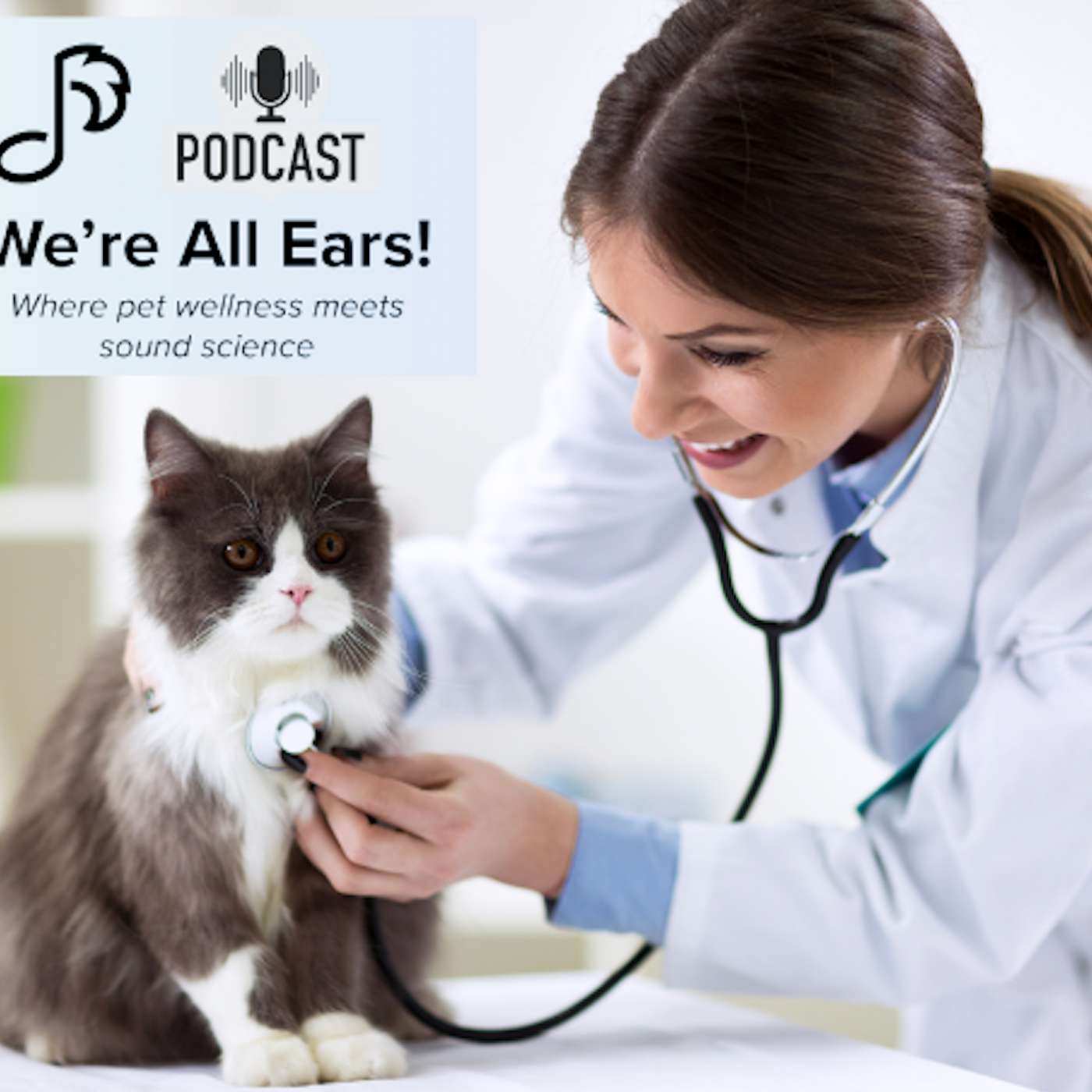 Inside the Exam Room: Bringing Hearing Health Into Veterinary Care