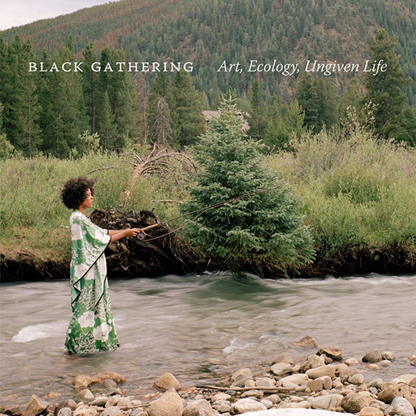 Sarah Jane Cervenak on Black Gathering: Art, Ecology, Ungiven Life