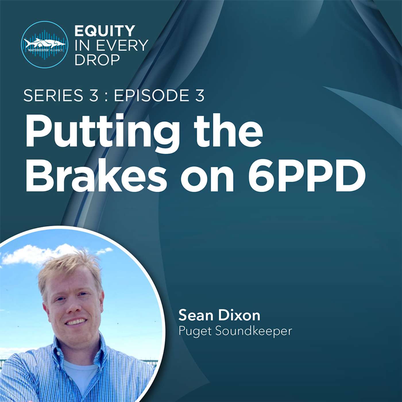 Putting the Brakes on 6PPD