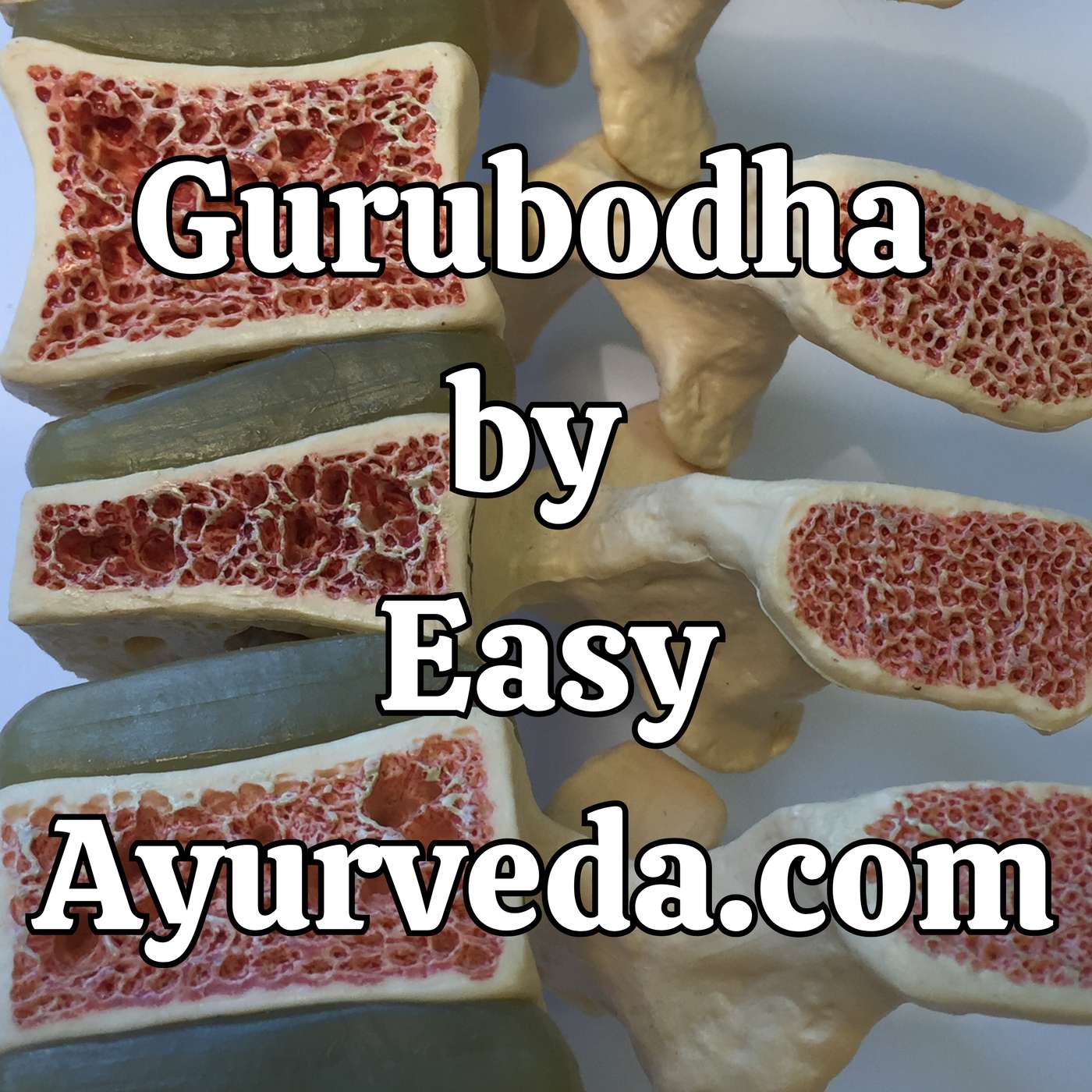Gurubodha 130: Ayurveda perspective of treating vitamin and mineral deficiencies| Osteoporosis| Osteopenia - Ayurveda Management episode artwork