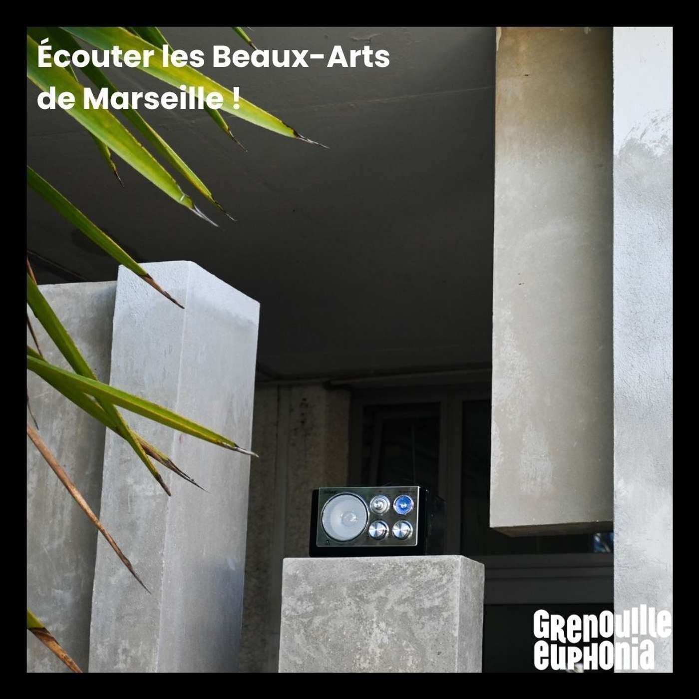 Portrait des Beaux-Arts | Samuel Gratacap | la Fabrique des images episode artwork