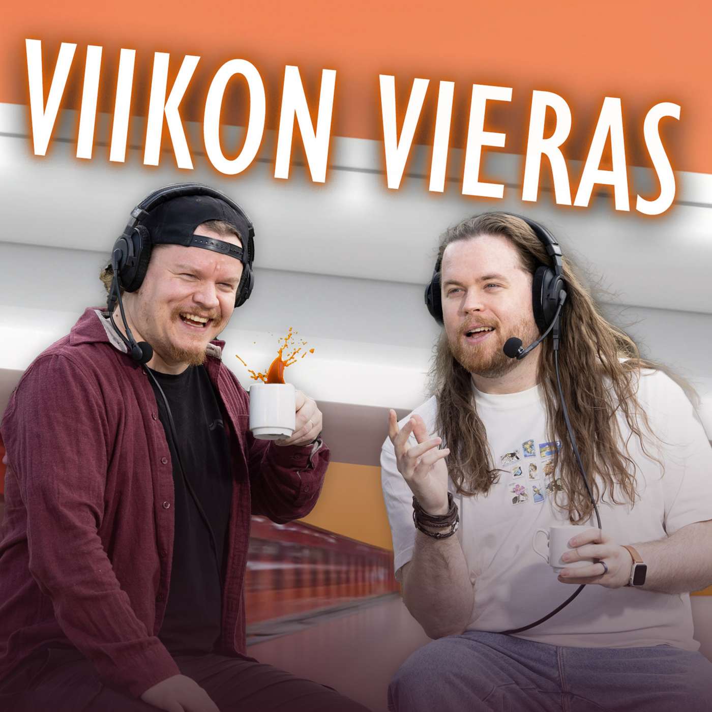 Viikon vieras