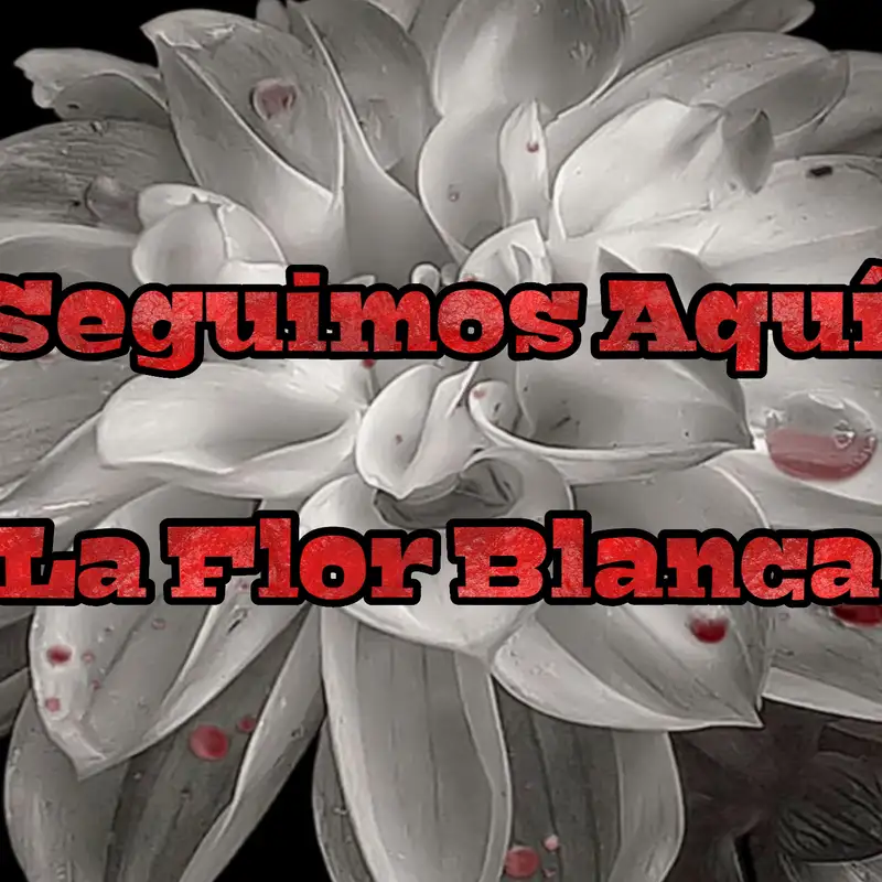 "Seguimos Aquí" La Flor Blanca 