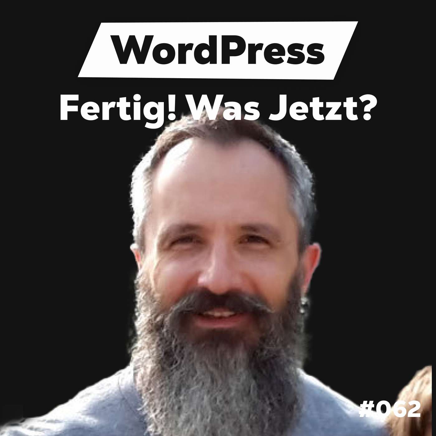 Die Dominik Liss Show (WordPress & Business Talks)