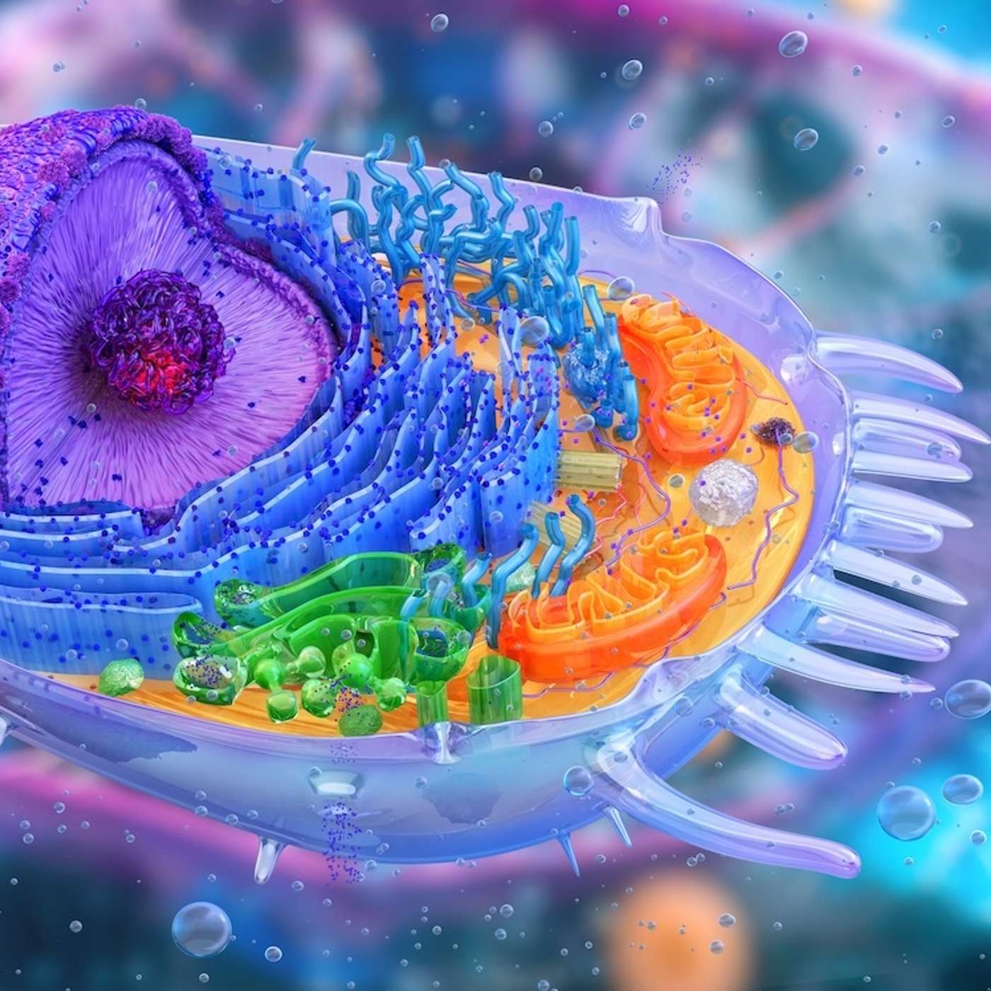 Mitochondria: The Tiny Engines Managing Your Energy — Until They Are Overloaded