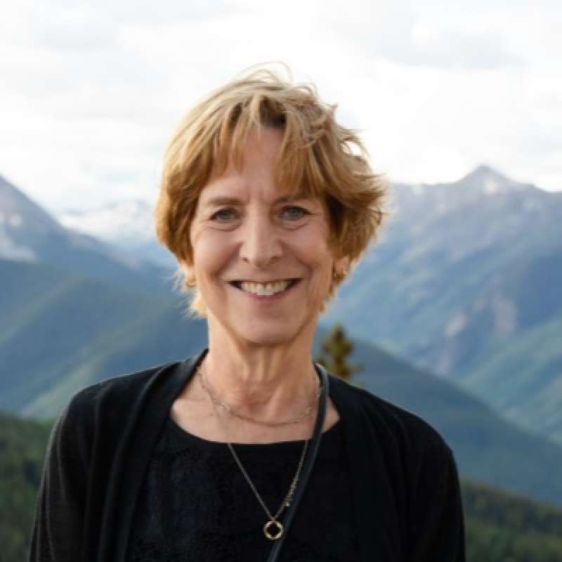 Vivian Schiller