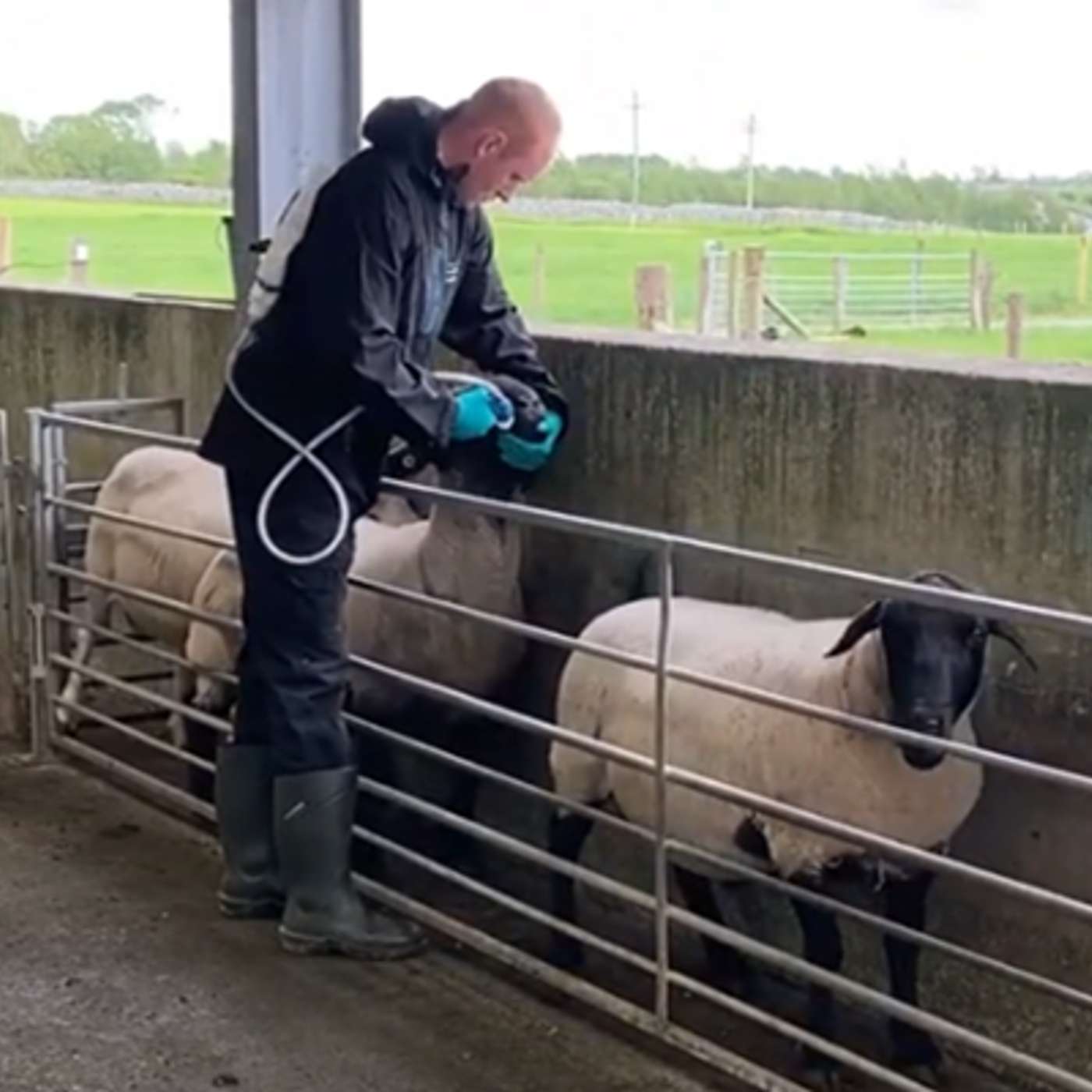 Vet Med Shake-Up: What’s Changing on Your Farm