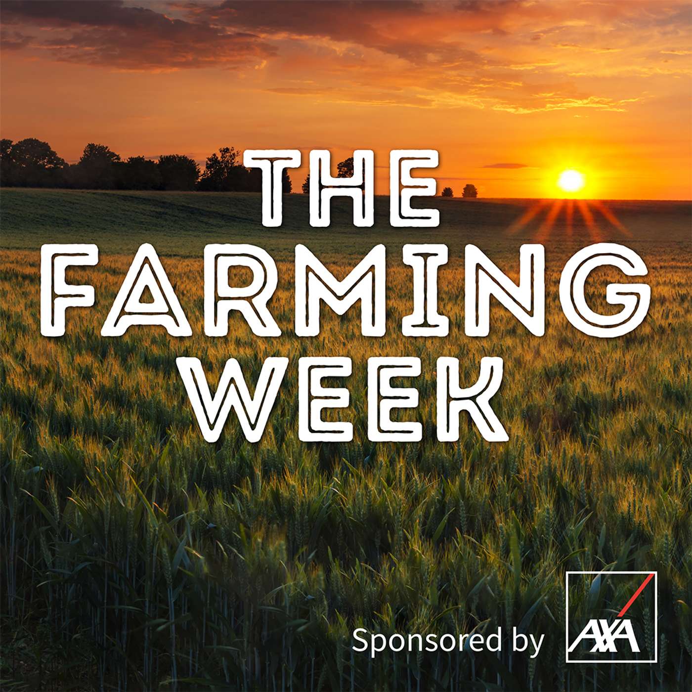 The Farming Week: Virigina Show, presidential election, and milk price round-up