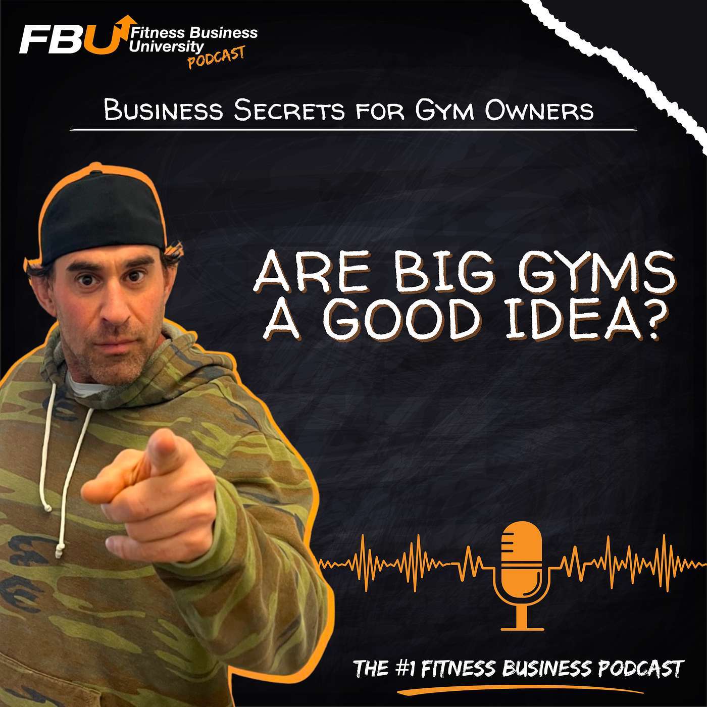 Are Big Gyms A Good Idea?