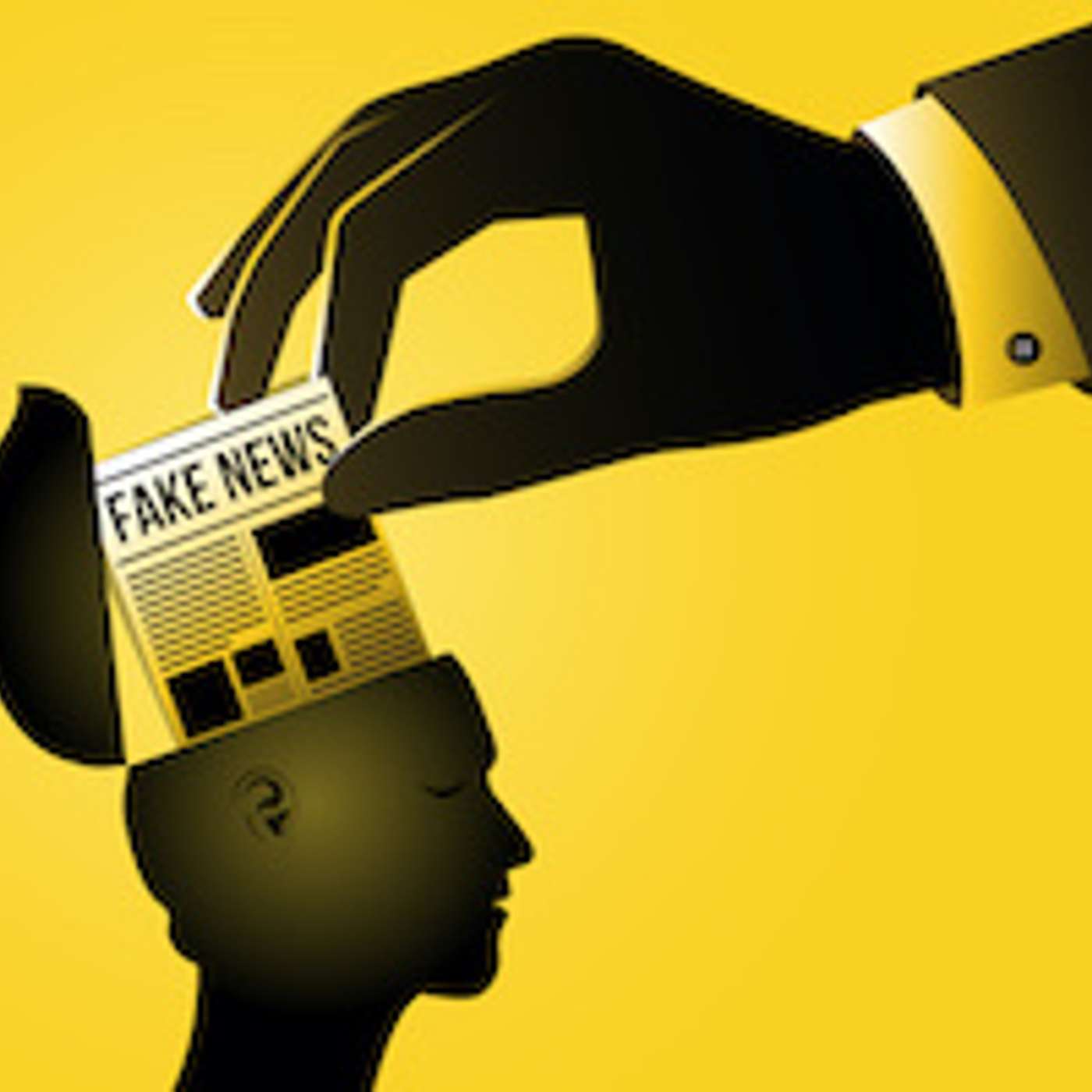 Disinformation Floods US Election Campaign Fueling Distrust in Government and Inciting Violence