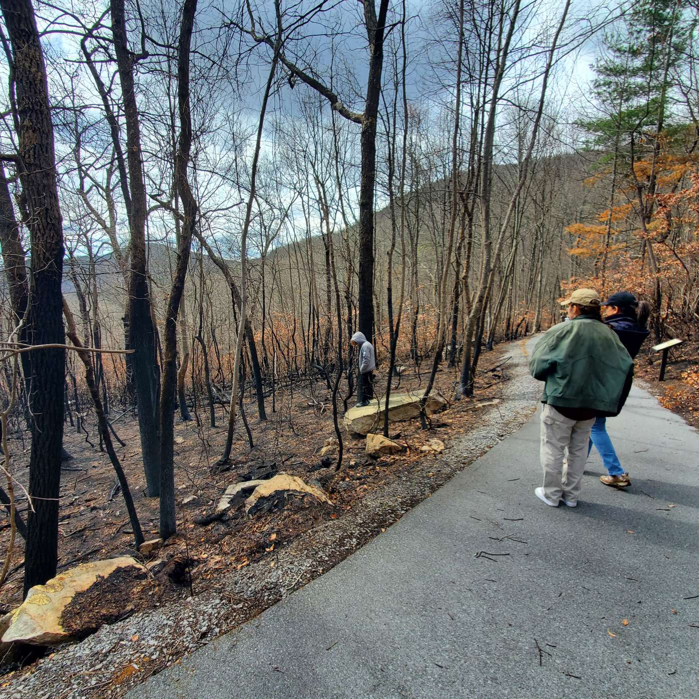 A Fire Burns Through