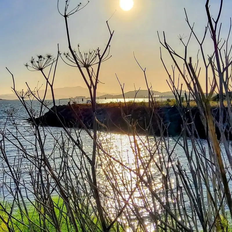 Communicating IS the Pattern