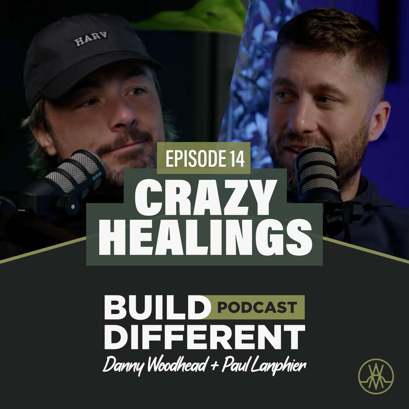 Crazy Healing Stories - E14 episode artwork