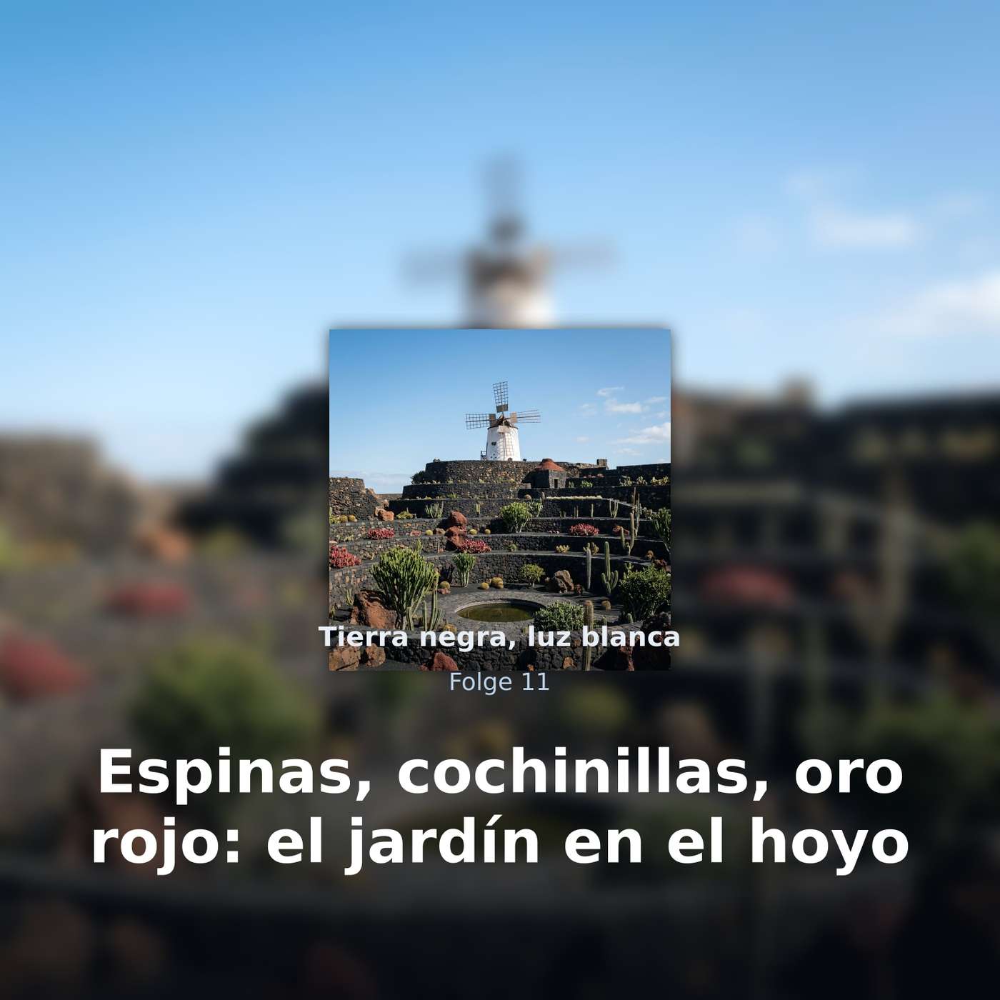 Tierra negra, luz blanca