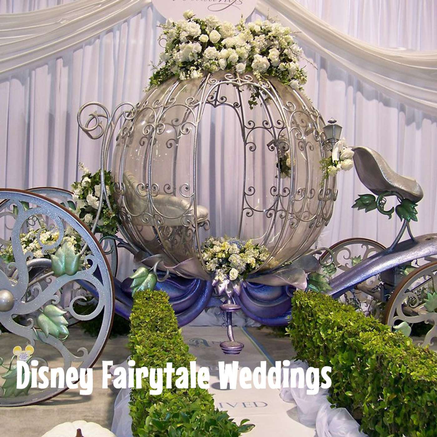 Episode 170: Disney Fairytale Weddings episode artwork