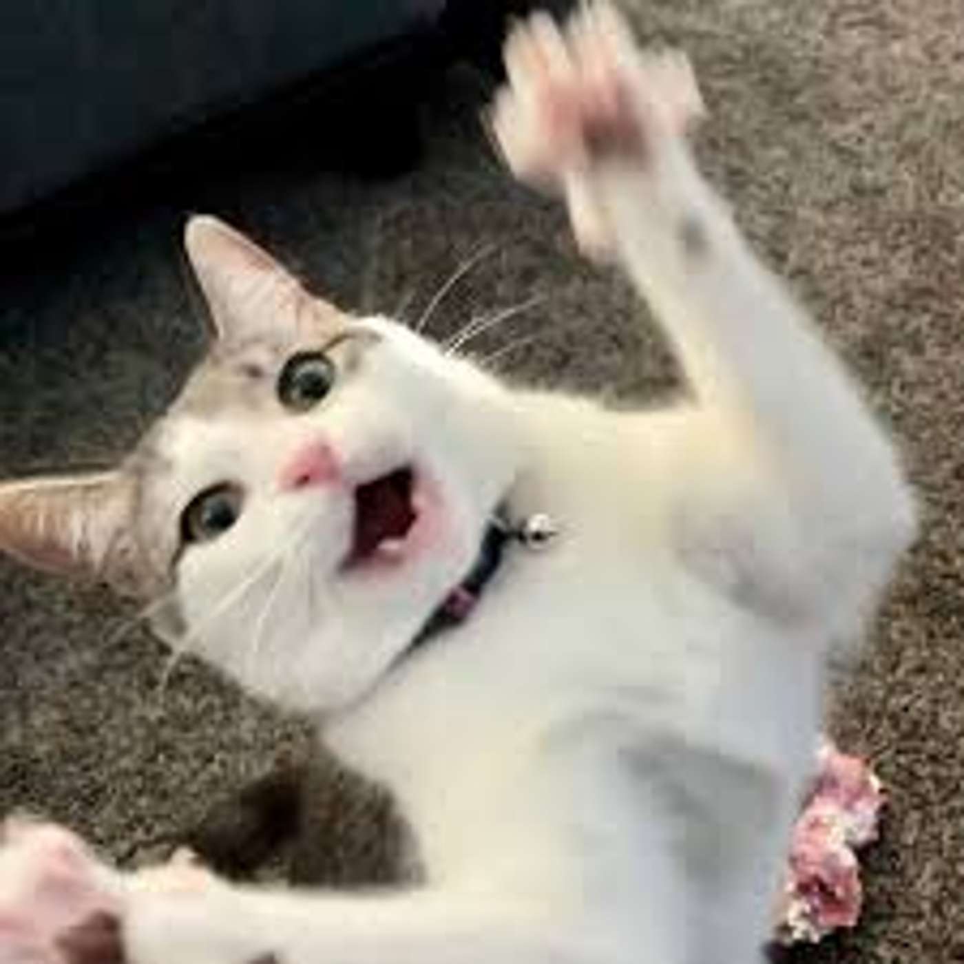 #319: Practice Makes Imperfect