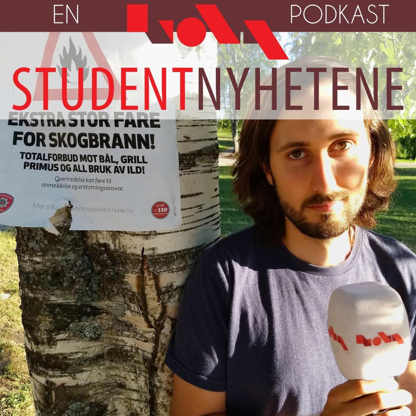 Ulovlig markagrilling / Sparetips til Oslo-studenten / Into The Woods / Karakterenes betydning episode artwork
